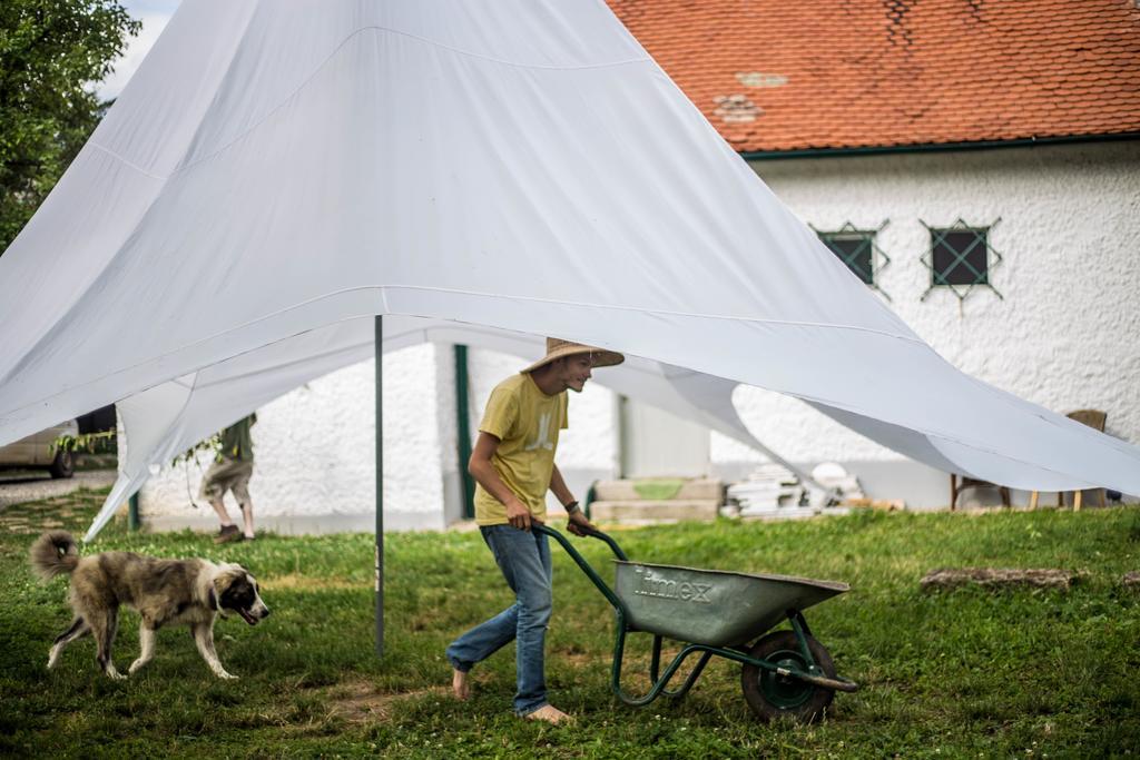 Youthink Hostel Kluž Exteriér fotografie